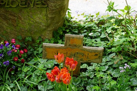 Bad Godesberg